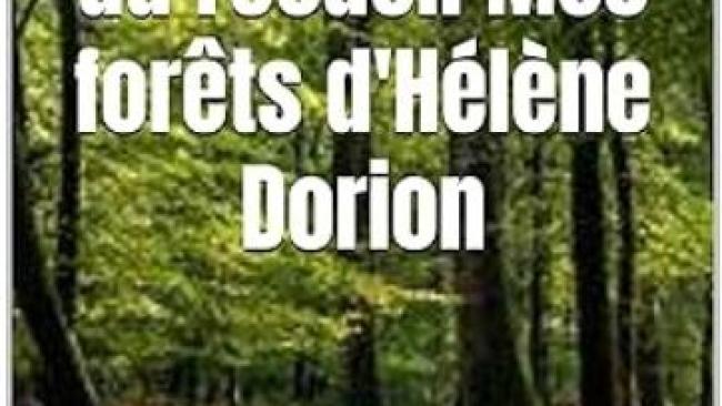 Etudes linéaires, grammaire Mes forêts d'Hélène Dorion