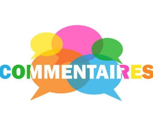 Exercices guides reussir un commentaire litteraire au bac de francais 1