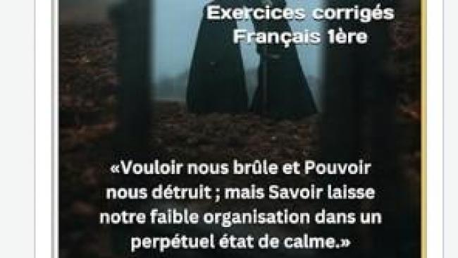 La Peau de chagrin, Balzac, Romans de l'énergie